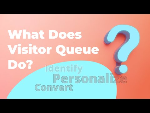 What Does Visitor Queue Do?